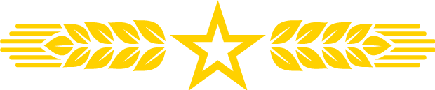 天罡匠造超高，精筑強(qiáng)國(guó)